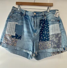 American Eagle Shorts Size 18/20