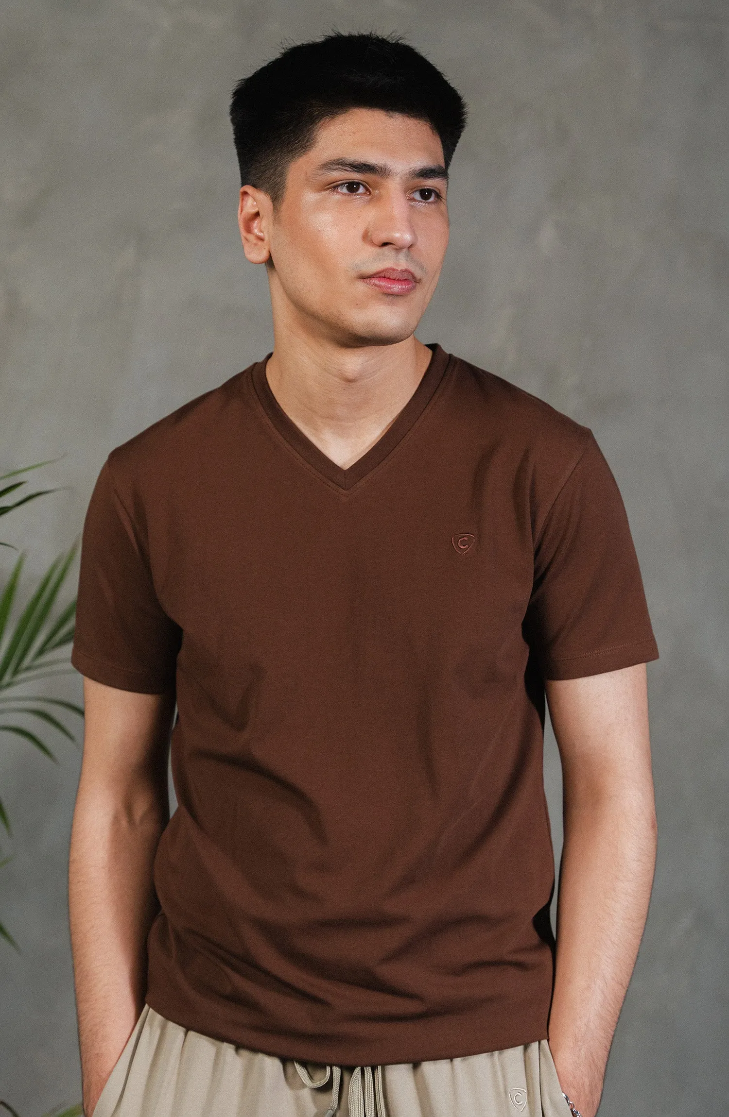 Basic V-Neck T-Shirt