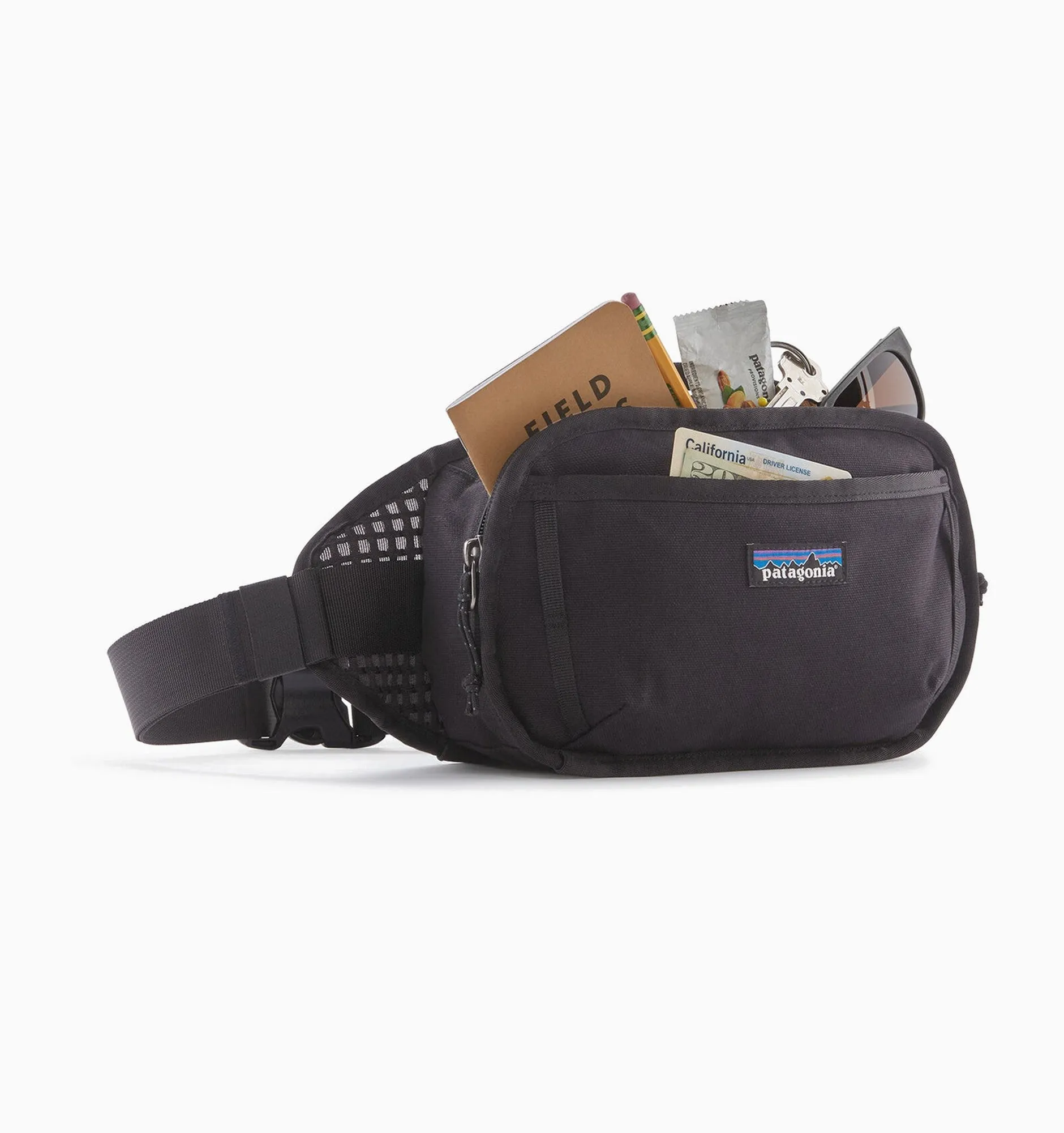 Patagonia Fieldsmith Hip Pack